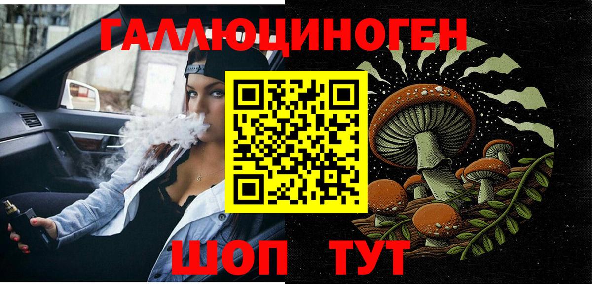Псилоцибиновые грибы Psilocybe Конаково