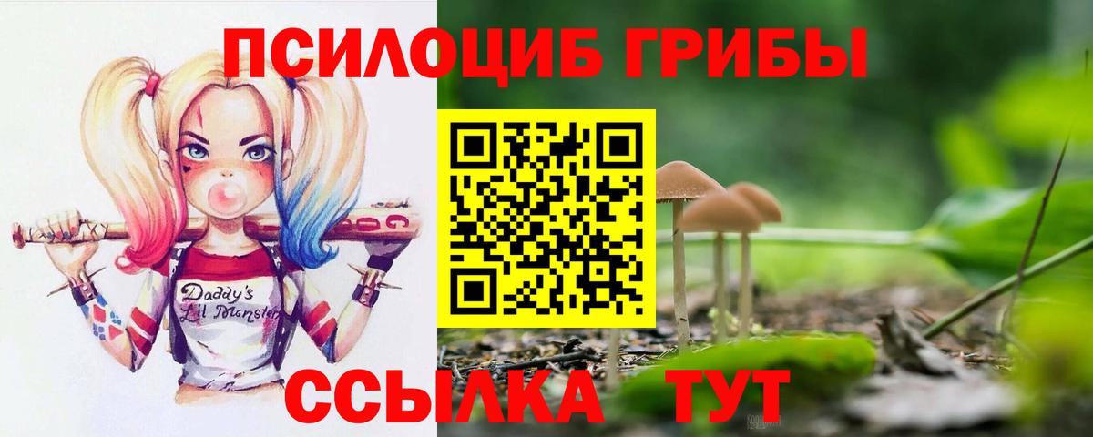 Псилоцибиновые грибы мицелий  Вход с VPN  магазин продажи наркотиков  Конаково  Галлюциногенные грибы Cubensis 
